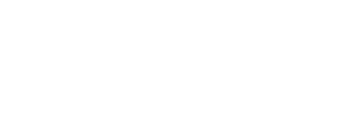 Flying Business Logo